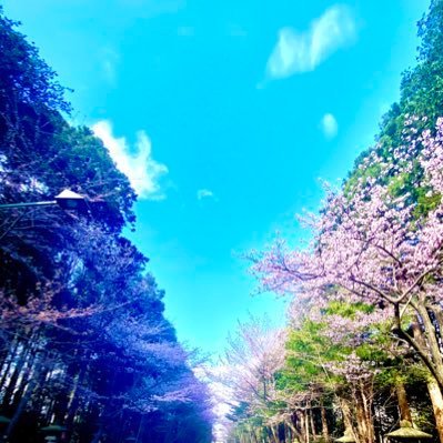 Emiさんのプロフィール画像