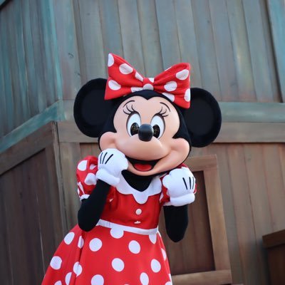 SY1002SI's profile picture. ディズニー🫶