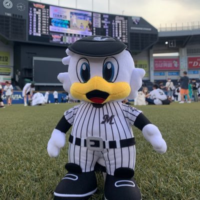 CHIBA LOTTE MARINES/小坂誠/荻野貴司/茶谷健太/荻野さんの1コ下♀/球団マスコットも好き/マーくん/マリンスタジアムの雰囲気が好き🏟️#0 #67 #16