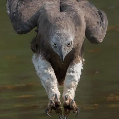 smukuna16's profile picture. male