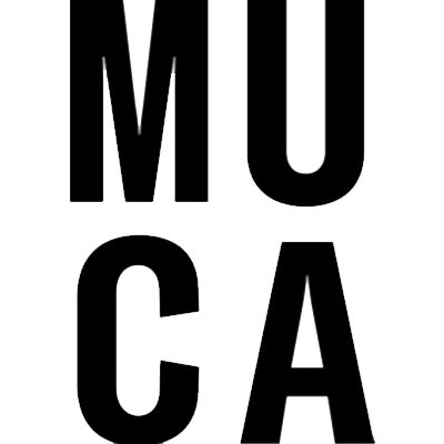 MUCA展 図録 MUCA展 バンクシー カウズ 図録urban art kaws banksy - メルカリ
