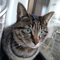 櫻井ひろこ (@hirosakura5656) 's Twitter Profile Photo