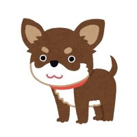 ちょこまめ@高配当株投資 (@chocomame_kabu) Twitter profile photo