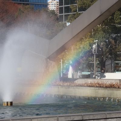 hi_ga_shi_ya_ma's profile picture. 🐧待っていてね　君に会いに行くから🕊