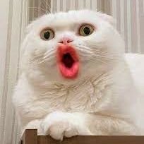 maprangbkk's profile picture. 