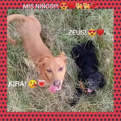 PaulaVivas80's profile picture. 