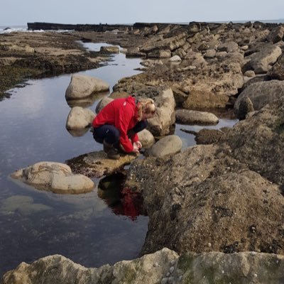 PhD student at Hull University (she/her) 🦬🌳🦦🦫 Blue carbon storage in the Humber using rewilding and ecoengineering. Writes tweets for @rewildingscience