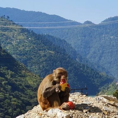 Sweaterbhoy's profile picture. 