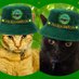 Milo and Fizz, Geordie Cats (@MiloFizzGeordie) Twitter profile photo Milo and Fizz, Geordie Cats (@MiloFizzGeordie) Twitter profile photo