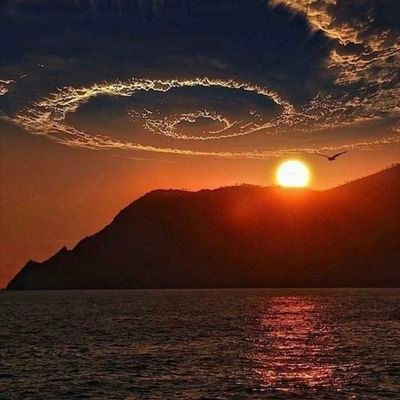 SaloAdi's profile picture. logistics