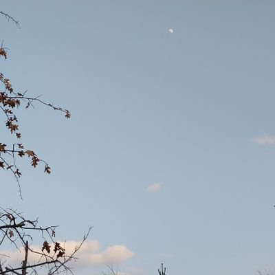 raiorain's profile picture. 