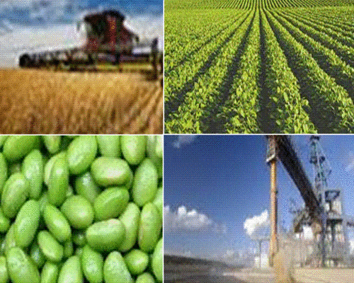 Agricultural Commodities