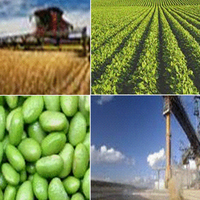 AgsPlayers (@agsplayers) 's Twitter Profile Photo