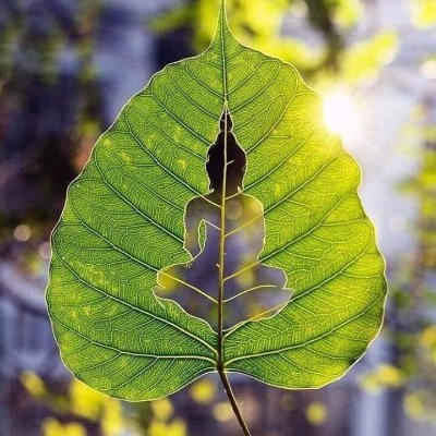 kyemtien's profile picture. 💙hopium
(🧙,🧙) 🧙,⛺ 🧙‍♂️,🧙‍♂️