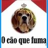 ocaoquefuma's profile picture. Blogue de informação e diversão.