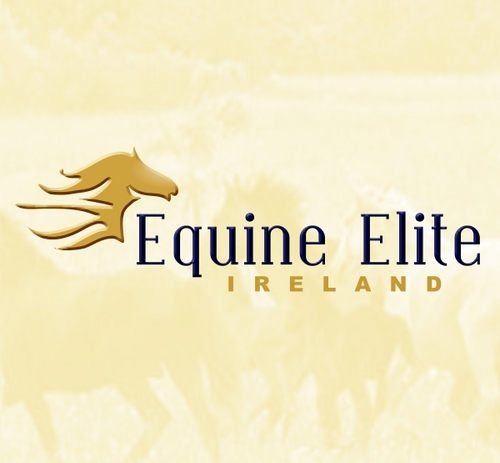 Equine Elite Ireland. Showjumpers Seamus Hayes and Maria Costello. Sales of Top Quality Horses.