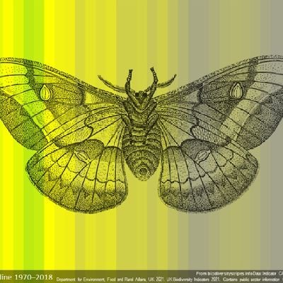 FiDaisyG's profile picture. Engineering Academic. Staying hopeful where skies are blue