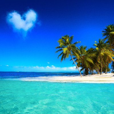 Antoinette2o23's profile picture. ungeimpfter Katzenfan. Von allen Geschöpfen Gottes gibt es nur eines, das nicht unter der Peitsche versklavt werden kann. Es ist die Katze. (Mark Twain)