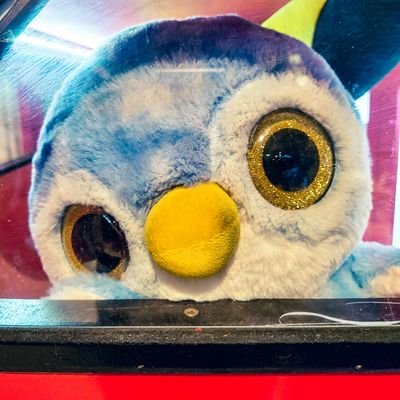 juanitorgo's profile picture. Sou um cara bacana. Pelo menos eu acho...