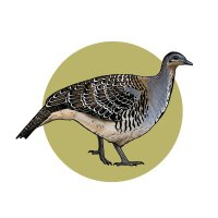 National Malleefowl Recovery Group(@MalleefowlAus) 's Twitter Profile Photo