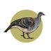 National Malleefowl Recovery Group (@MalleefowlAus) Twitter profile photo