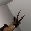 Henry Baird - @HenryBa86824677 - Twitter