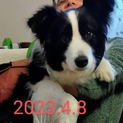 kyoronoi's profile picture. 終活開始のウォーゲーマー、夢も希望もそんなにありません。アイデアよりも、カウンターアイコン、ハードマップといったコンポーネント重視。頭脳駆使・駆け引き重視ゲームはやりません。現実の厳しさ、理不尽さが感じられるゲームが好きです。