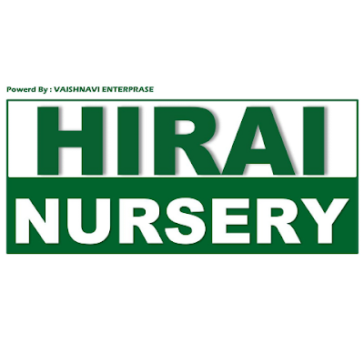 rupeshtidke8's profile picture. 