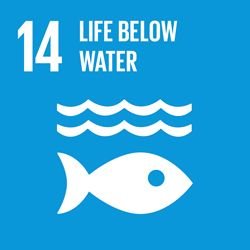 I LIVE TO PLEASE JESUS
I am his voice on earth 
I am his light dispenser
Fisheries Personnel 
SDG 14 Advocate
