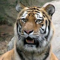 धनंजय भुजबळ - Dhananjay. (@vegla_) 's Twitter Profile Photo धनंजय भुजबळ - Dhananjay. (@vegla_) 's Twitter Profile Photo