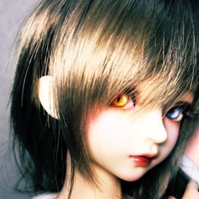 hibari_red Profile Picture