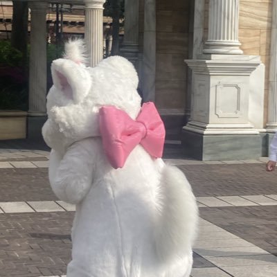 ae70407165's profile picture. フォロー用