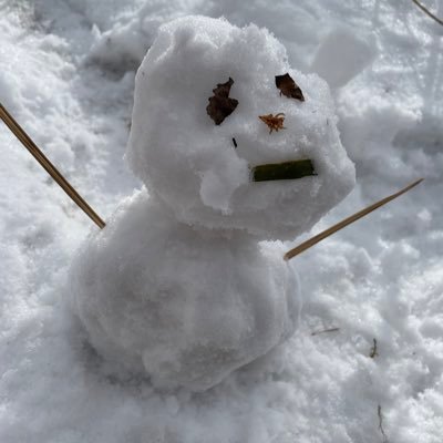 EwLDpu0x2WEqHDt's profile picture. 