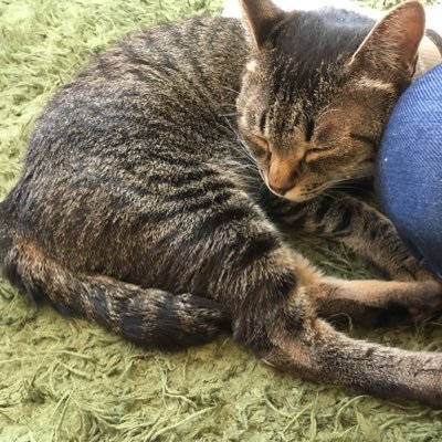 mochimarubebi's profile picture. 男の子ママ 我が子は可愛いがワンオペは疲れる😇無言フォロー等失礼します🙇‍♀️