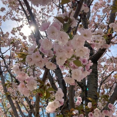 子育て中。時短ワーママ。料理は食べる方が好き。