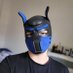 Pup_Tiger (@pup_tiger00) Twitter profile photo