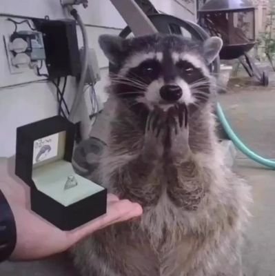 michael821057's profile picture. 