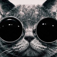 Sam Hassan (@thesamhassan) 's Twitter Profile Photo Sam Hassan (@thesamhassan) 's Twitter Profile Photo