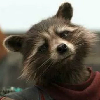 pink2019bis's profile picture. Pink2021👁️🐞❤🍀