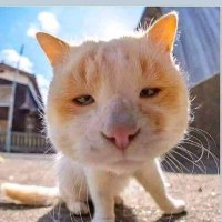 2mar🤭 (@narminmuhammad3) 's Twitter Profile