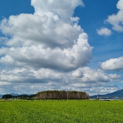 세상 사는 이야기