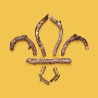 1st Sedbury & Tidenham Scout Group (@1stsedtedscouts) 's Twitter Profile