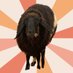 מחוץ לעדר (@masafering) Twitter profile photo מחוץ לעדר (@masafering) Twitter profile photo