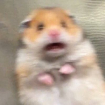 haaaaaaaaem's profile picture. 햠스터가어떻게드럼을쳐...