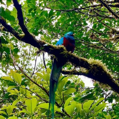 sexxxanastasia's profile picture. 