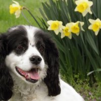 Jessica Heller (@jessicahel53612) 's Twitter Profile Photo