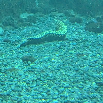 JJ1EQ9's profile picture. 二十代前半/学生(?)/FTMに限りなく近いX 　
趣味は読書、アニメ鑑賞、散歩、過去に起きた事件について調べる・考察する事等です。
閃光のハサウェイが好きすぎる。キルケーの魔女楽しみですね！
よろしくお願いします。