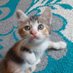 Ramon๐ฒ๐จ๐ต๐ธ (@ramjungpara) Twitter profile photo Ramon๐ฒ๐จ๐ต๐ธ (@ramjungpara) Twitter profile photo