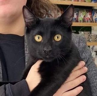 zaki198000's profile picture. 