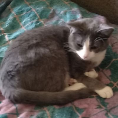 SuperRytis's profile picture. from lithuania 🇱🇹
played Fncs 6x time
0 Earnings 
every day trying to be better and better
I quitted for now maybe i will back